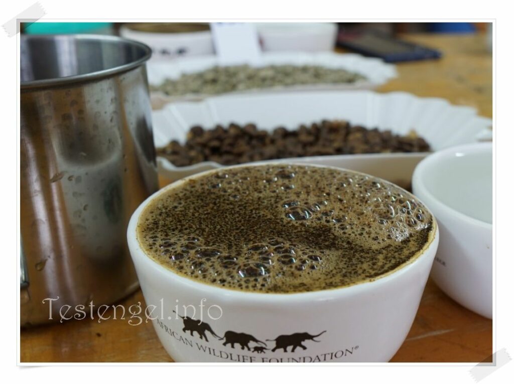 Kenia Kaffeefarm