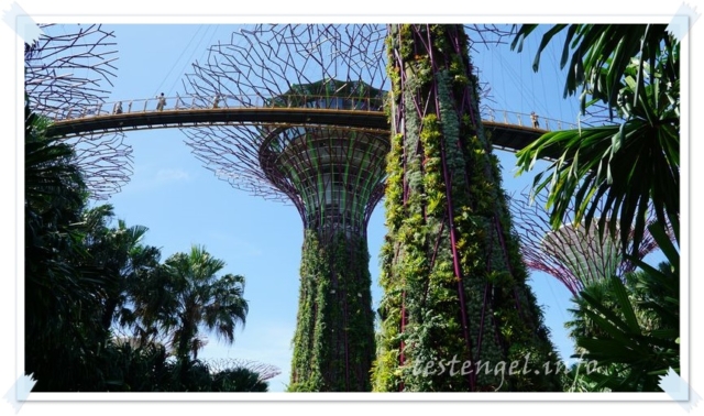 Singapur, Suertrees