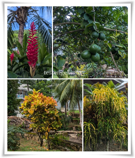 seychellen