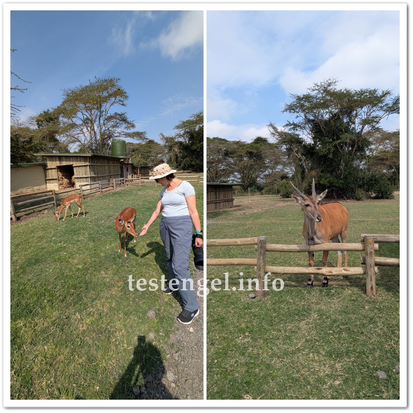 kenia-2025