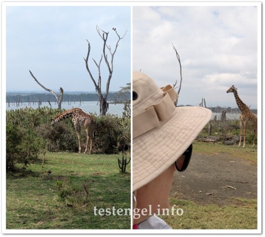 kenia-2025