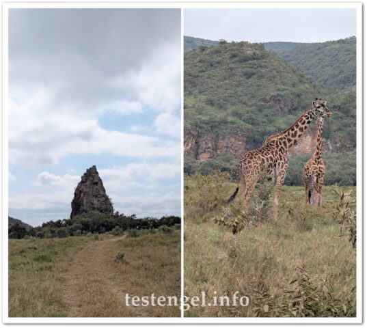 kenia-2025