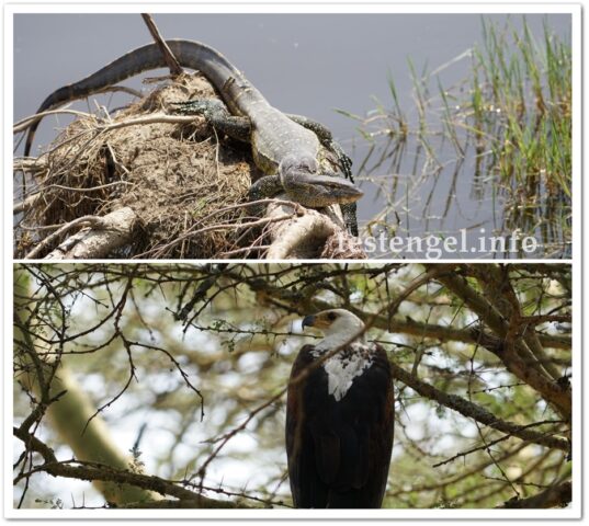 kenia-2025