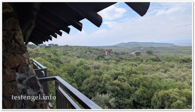 kenia-2025