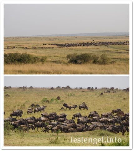 Kenia-2025