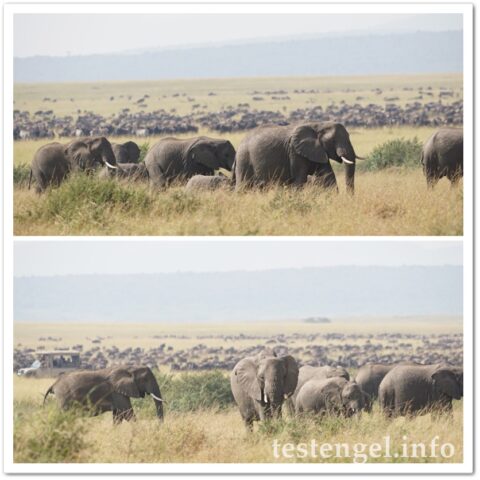 Kenia-2025