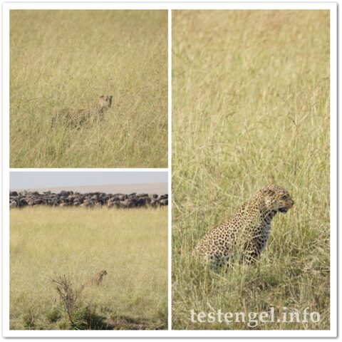 Kenia-2025