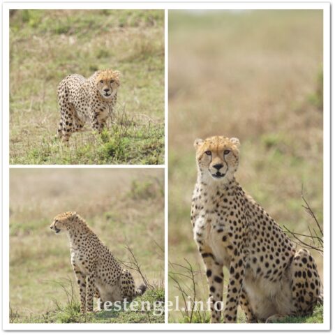 Kenia-2025