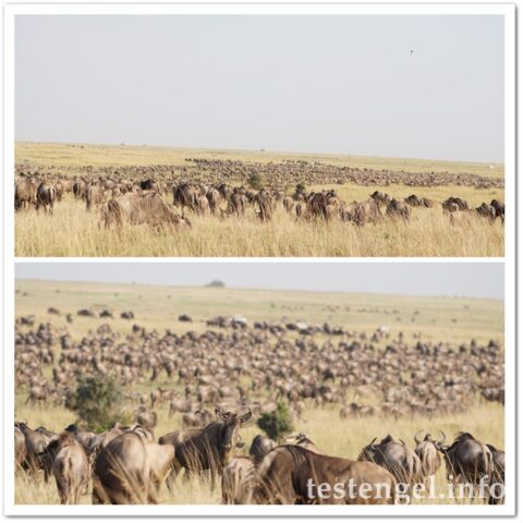 Kenia-2025