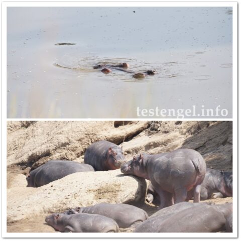 Kenia-2025