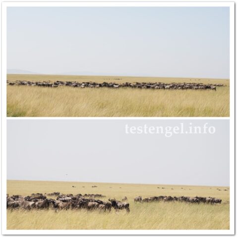 Kenia-2025